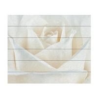 Marcă comercială Artă Plastică 'trandafir alb pur' artă de perete din lemn artă de Cora Niele