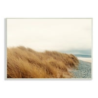 Stupell Indtries iarbă înaltă vânt Ocean scena Pebble Coast Beach, 10, Design de Ian Winstanley