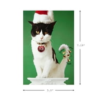 Hallmark Shoebo Funny Crăciun Boxed carduri, pisica cu Jingle Bells