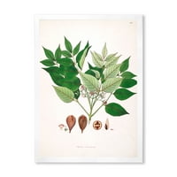 Designart 'Ancient Plant Life XII' fermă încadrată Art Print