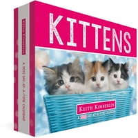 Tendințe internaționale Keith Kimberlin Kittens ziua-la-un-timp Bo Calendar