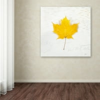 Marcă comercială Fine Art Autumn Colors II Canvas Art de Sue Schlabach