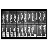 Wynwood Studio clasic și figurativ Wall Art Canvas printuri 'Muybridge' s Woman Walking ' nuduri-Negru, alb