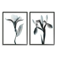 Stupell Industries opac Oleander Silhouette minimal nautic Floral Fotografie Negru Înrămată Art Print set de artă de perete de