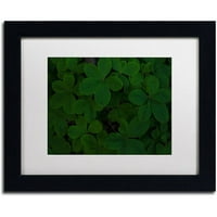 Marcă comercială Fine Art Green Leaf Abstract Canvas Art de Kurt Shaffer alb mat, cadru negru