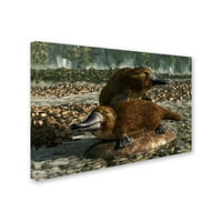 Marcă comercială Fine Art 'Platypuses' Canvas Art de Daniel Eskridge