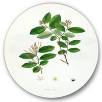 Designart 'Ancient Plant Life XIX' Farmhouse Circle Metal Wall Art-Disc de 23