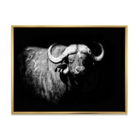 Designart 'portret alb-negru al Buffalo I' fermă încadrată pânză de perete Art Print