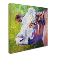 Marcă comercială Fine Art 'White face Cow' Canvas Art de Marion Rose