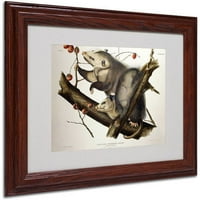 Marcă comercială Fine Art Virginian Opossum Canvas Art de John James Audubon, Cadru din lemn