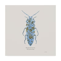 Marcă comercială Artă Plastică 'împodobind Coleoptera VIII sq Blue' pânză artă de James Wiens