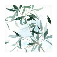 Emma Scarvey 'Serene Eucalyptus I' Canvas Art