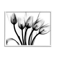 Stupell Industries modern Tulip Blossom Abstract monocrom Silhouette fotografie 16, Design de Albert Koetsier