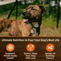 Wellness CORE natural Wet Grain Free conserve pentru câini, pește alb, somon și hering, cutie de 12,5 uncii