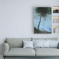 Marcă comercială Fine Art 'Lone Moorland Pine' Canvas Art de Paul Baile