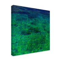 Marcă comercială Fine Art 'Green Sea Floor' Canvas Art de Jason Matias