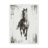 Marcă comercială Artă Plastică 'Rustic Black Stallion I' artă pe pânză de Ethan Harper