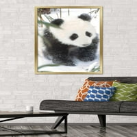 Animale-Panda în posterul de perete de zăpadă, 22.375 34