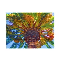 Marcă comercială Artă Plastică 'Palm Tree Looking Up' artă de perete din lemn artă de Amy Vangsgard