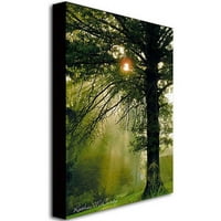 Marcă comercială Art Magic Tree Canvas Wall Art de Kathie McCurdy