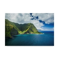 Marcă comercială Fine Art 'Cascada Molokai' Canvas Art de Cameron Brooks