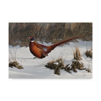 Marcă comercială Fine Art 'Winter Walk fazan' Canvas Art de Wilhelm Goebel