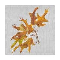 Marcă comercială Fine Art 'Autumn Leaves III' Canvas Art de Dianne Miller