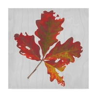 Marcă comercială Fine Art 'Autumn Leaves V' Canvas Art de Dianne Miller
