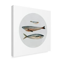 Marcă comercială Fine Art 'Three Fish II' Canvas Art de Emma Scarvey