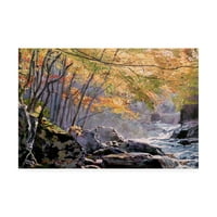 Marcă comercială Fine Art 'Autumn Glen' Canvas Art de David Lloyd Glover