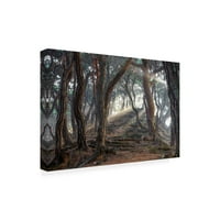 Jaeyoun Ryu 'Sacred Pine Forest' Canvas Art