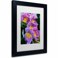 Marcă comercială Fine Art Happy Orchids Canvas Art de Kurt Shaffer, alb mat, cadru negru