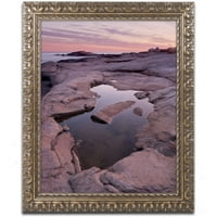 Marcă comercială Fine Art 'Tide Pool Geometry' Canvas Art de Michael Blanchette fotografie, cadru ornamentat din aur