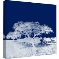 Imagini, ecranate copac Q, 20x20, decorative panza arta de perete