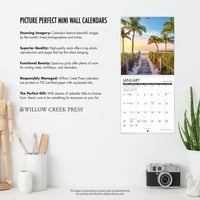 Willow Creek Press Gettin ' Squirrelly Mini Calendar De Perete