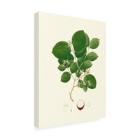 Necunoscut 'Spring Green Foliage I' Canvas Art