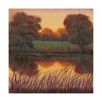 Marcă comercială Fine Art 'early Evening I Autumn' Canvas Art de Tim OToole