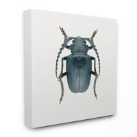 Stupell acasă D Motorcor Beetle Albastru Galben Animal Fotografie panza arta de perete de design Fabrikken