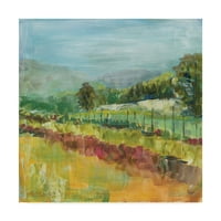 Marcă comercială Fine Art 'Mountain Garden' Canvas Art de Sue Schlabach