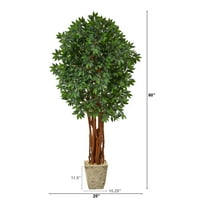 Aproape Natural 6' Lychee Artificial copac în țară Alb jardinieră