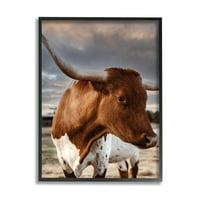 Stupell Industries ferma rurală bovine noros Ranch cer fotografie Negru încadrată arta imprimare arta de perete, Design de Dakota