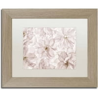 Marcă comercială Fine Art 'translucid Cherry Blossom' Canvas Art de Cora Niele, alb mat, cadru de mesteacăn