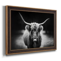 Studiu de fotografie Highland bovine Premium încadrată panza-gata să stea